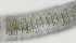  ( - NID-N2722)  @11 [ ] CreativeCommons - Attribution Non-Commercial (2017) Tom Powers University of Nebraska