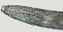  ( - NID-N2723)  @11 [ ] CreativeCommons - Attribution Non-Commercial (2017) Tom Powers University of Nebraska
