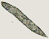 ( - NID-N2724)  @11 [ ] CreativeCommons - Attribution Non-Commercial (2017) Tom Powers University of Nebraska