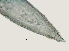  ( - NID-N2724)  @11 [ ] CreativeCommons - Attribution Non-Commercial (2017) Tom Powers University of Nebraska