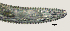  ( - NID-N2725)  @11 [ ] CreativeCommons - Attribution Non-Commercial (2017) Tom Powers University of Nebraska