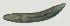  ( - NID-N2752)  @11 [ ] CreativeCommons - Attribution Non-Commercial (2017) Tom Powers University of Nebraska