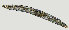  ( - NID-N2758)  @11 [ ] CreativeCommons - Attribution Non-Commercial (2017) Tom Powers University of Nebraska