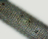 ( - NID-N2760)  @11 [ ] CreativeCommons - Attribution Non-Commercial (2017) Tom Powers University of Nebraska