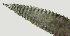  ( - NID-N2760)  @11 [ ] CreativeCommons - Attribution Non-Commercial (2017) Tom Powers University of Nebraska