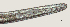  ( - NID-N2765)  @11 [ ] CreativeCommons - Attribution Non-Commercial (2017) Tom Powers University of Nebraska