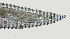  ( - NID-N2804)  @11 [ ] CreativeCommons - Attribution Non-Commercial (2017) Tom Powers University of Nebraska