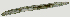  ( - NID-N2813)  @11 [ ] CreativeCommons - Attribution Non-Commercial (2017) Tom Powers University of Nebraska
