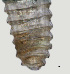  ( - NID-N3003)  @11 [ ] CreativeCommons - Attribution Non-Commercial (2016) Tom Powers University of Nebraska