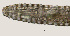  ( - NID-N3176)  @11 [ ] CreativeCommons - Attribution Non-Commercial (2016) Tom Powers University of Nebraska