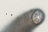  ( - NID-N3194)  @11 [ ] CreativeCommons - Attribution Non-Commercial (2016) Tom Powers University of Nebraska