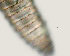  ( - NID-N3248)  @11 [ ] CreativeCommons - Attribution Non-Commercial (2016) Tom Powers University of Nebraska