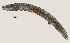  ( - NID-N3260)  @11 [ ] CreativeCommons - Attribution Non-Commercial (2016) Tom Powers University of Nebraska