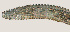  ( - NID-N3260)  @11 [ ] CreativeCommons - Attribution Non-Commercial (2016) Tom Powers University of Nebraska