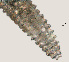  ( - NID-N3260)  @11 [ ] CreativeCommons - Attribution Non-Commercial (2016) Tom Powers University of Nebraska
