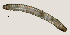  ( - NID-N3306)  @11 [ ] CreativeCommons - Attribution Non-Commercial (2016) Tom Powers University of Nebraska