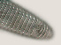  ( - NID-N431)  @11 [ ] CreativeCommons - Attribution Non-Commercial (2016) Tom Powers University of Nebraska
