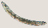 ( - NID-N432)  @11 [ ] CreativeCommons - Attribution Non-Commercial (2017) Tom Powers University of Nebraska