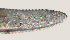  ( - NID-N432)  @11 [ ] CreativeCommons - Attribution Non-Commercial (2017) Tom Powers University of Nebraska