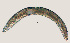  ( - NID-N443)  @11 [ ] CreativeCommons - Attribution Non-Commercial (2016) Tom Powers University of Nebraska