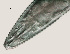  ( - NID-N443)  @11 [ ] CreativeCommons - Attribution Non-Commercial (2016) Tom Powers University of Nebraska