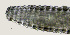  ( - NID-N5562)  @11 [ ] CreativeCommons - Attribution Non-Commercial (2016) Tom Powers University of Nebraska
