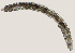  ( - NID-N5563)  @11 [ ] CreativeCommons - Attribution Non-Commercial (2016) Tom Powers University of Nebraska