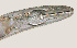  ( - NID-N570)  @11 [ ] CreativeCommons - Attribution Non-Commercial (2017) Tom Powers University of Nebraska