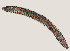  ( - NID-N577)  @11 [ ] CreativeCommons - Attribution Non-Commercial (2016) Tom Powers University of Nebraska