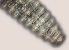  ( - NID-N577)  @11 [ ] CreativeCommons - Attribution Non-Commercial (2016) Tom Powers University of Nebraska