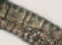  ( - NID-N577)  @11 [ ] CreativeCommons - Attribution Non-Commercial (2016) Tom Powers University of Nebraska