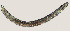  ( - NID-N583)  @11 [ ] CreativeCommons - Attribution Non-Commercial (2017) Tom Powers University of Nebraska