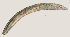  ( - NID-N606)  @11 [ ] CreativeCommons - Attribution Non-Commercial (2017) Tom Powers University of Nebraska