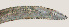  ( - NID-N606)  @11 [ ] CreativeCommons - Attribution Non-Commercial (2017) Tom Powers University of Nebraska