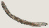  ( - NID-N609)  @11 [ ] CreativeCommons - Attribution Non-Commercial (2017) Tom Powers University of Nebraska