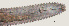  ( - NID-N609)  @11 [ ] CreativeCommons - Attribution Non-Commercial (2017) Tom Powers University of Nebraska