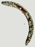  ( - NID-N742)  @11 [ ] CreativeCommons - Attribution Non-Commercial (2017) Tom Powers University of Nebraska
