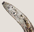 ( - NID-N742)  @11 [ ] CreativeCommons - Attribution Non-Commercial (2017) Tom Powers University of Nebraska