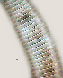  ( - NID-N742)  @11 [ ] CreativeCommons - Attribution Non-Commercial (2017) Tom Powers University of Nebraska