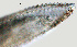  ( - NID-N750)  @11 [ ] CreativeCommons - Attribution Non-Commercial (2017) Tom Powers University of Nebraska