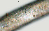  ( - NID-N750)  @11 [ ] CreativeCommons - Attribution Non-Commercial (2017) Tom Powers University of Nebraska