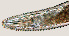  ( - NID-N753)  @11 [ ] CreativeCommons - Attribution Non-Commercial (2017) Tom Powers University of Nebraska