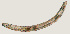  ( - NID-N836)  @11 [ ] CreativeCommons - Attribution Non-Commercial (2017) Tom Powers University of Nebraska