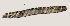  ( - NID-N899)  @11 [ ] CreativeCommons - Attribution Non-Commercial (2016) Tom Powers University of Nebraska