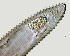  ( - NID-N919)  @11 [ ] CreativeCommons - Attribution Non-Commercial (2017) Tom Powers University of Nebraska