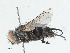  ( - CBG-A04493-H03)  @11 [ ] CreativeCommons - Attribution (2023) CBG Photography Group Centre for Biodiversity Genomics