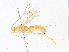  ( - CBG-A04520-B12)  @11 [ ] CreativeCommons - Attribution (2023) CBG Photography Group Centre for Biodiversity Genomics