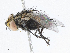  ( - CBG-A05367-C03)  @11 [ ] CreativeCommons - Attribution (2023) CBG Photography Group Centre for Biodiversity Genomics