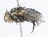 ( - CBG-A05367-C04)  @11 [ ] CreativeCommons - Attribution (2023) CBG Photography Group Centre for Biodiversity Genomics