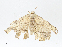  ( - CBG-A05367-G10)  @11 [ ] CreativeCommons - Attribution (2023) CBG Photography Group Centre for Biodiversity Genomics